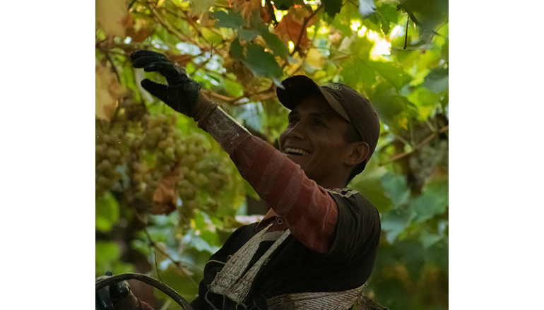 Una conversación con Javier Collovati, winemaker de Valle de La Puerta