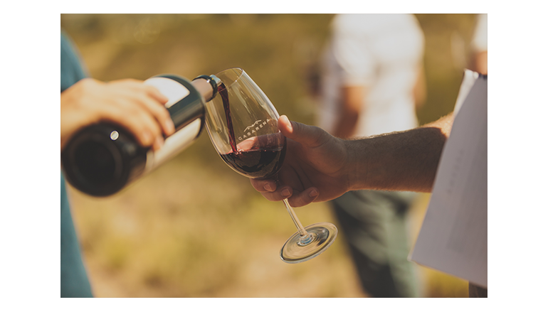 Casarena: la aventura de vinificar